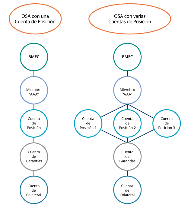 Imagen de estructura de cuentas omnibus