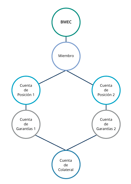 Imagen de estructura de cuenta GOSA